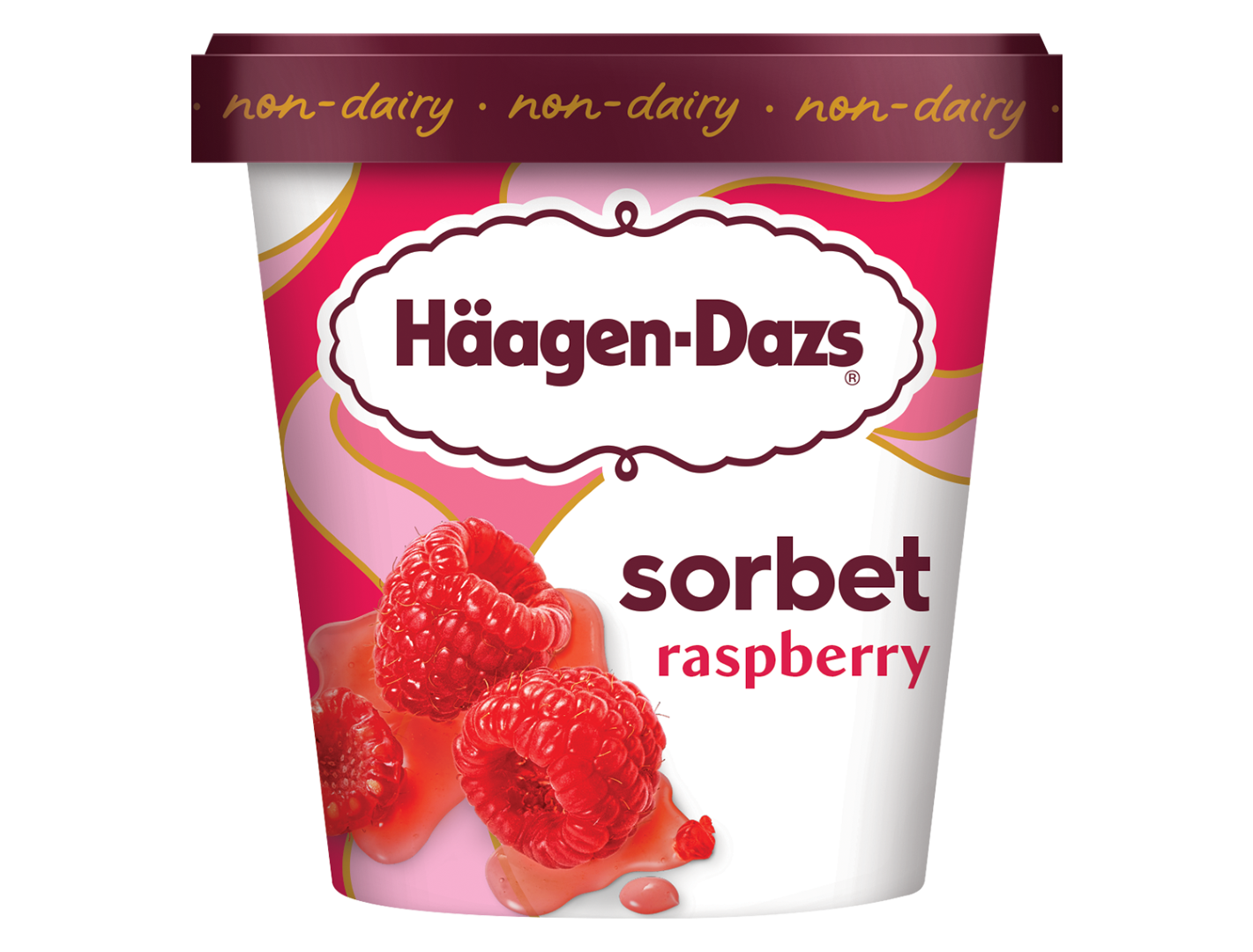 HAAGEN DAZ RASBEBBRY SORBET 460ML